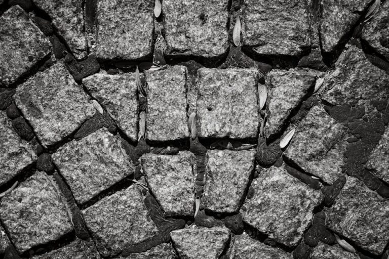 tire rotation near me